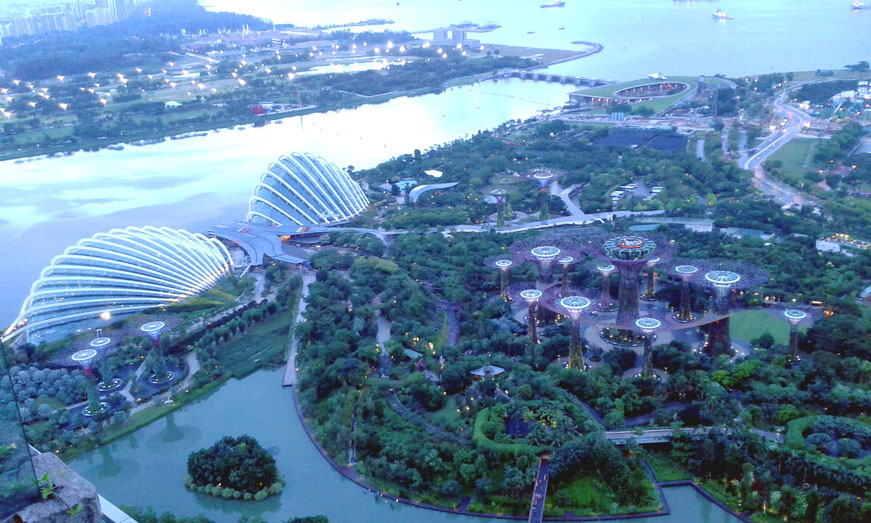 am Abend Blick auf Gardens by the Bay
