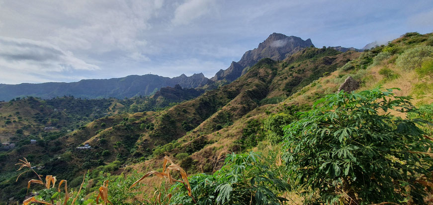 Pico da Antónia