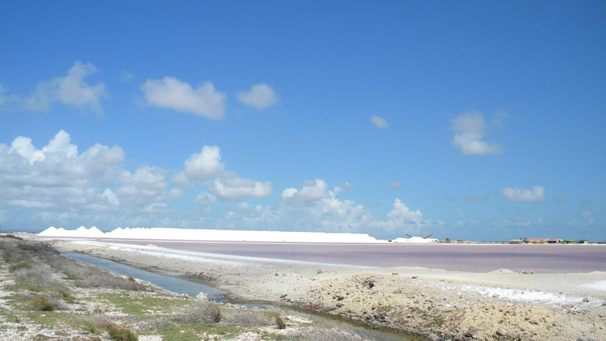 Saline