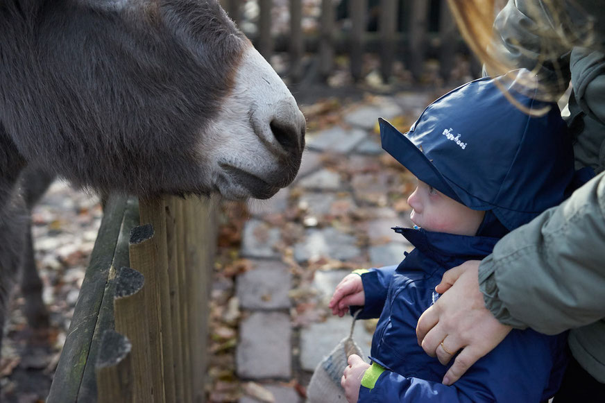 Unser Wochenende in Bildern: 20. November