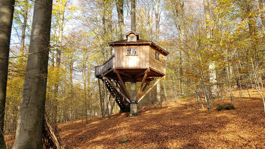 Baumhaus im herbstlichen Wald bei Sonnenschein.