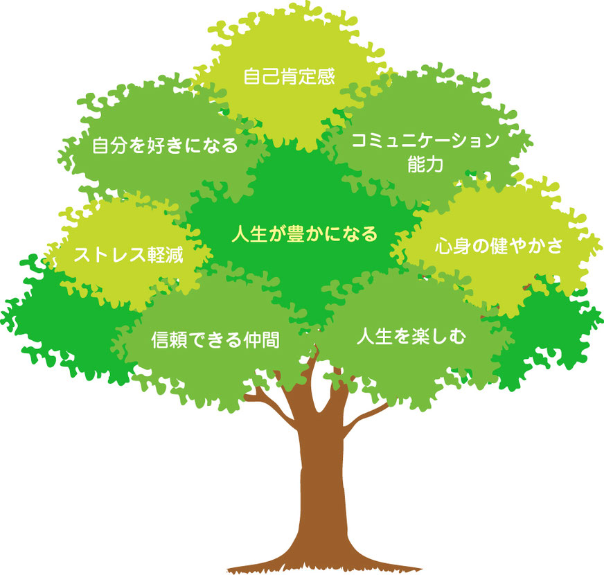 ビオダンサビオダンサは日本各地で開催しています。