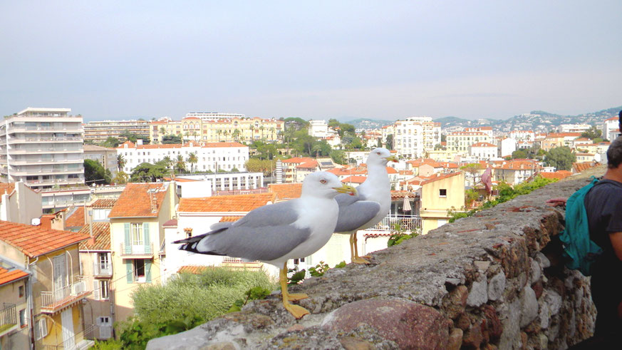 Blick vom Hügel der Altstadt