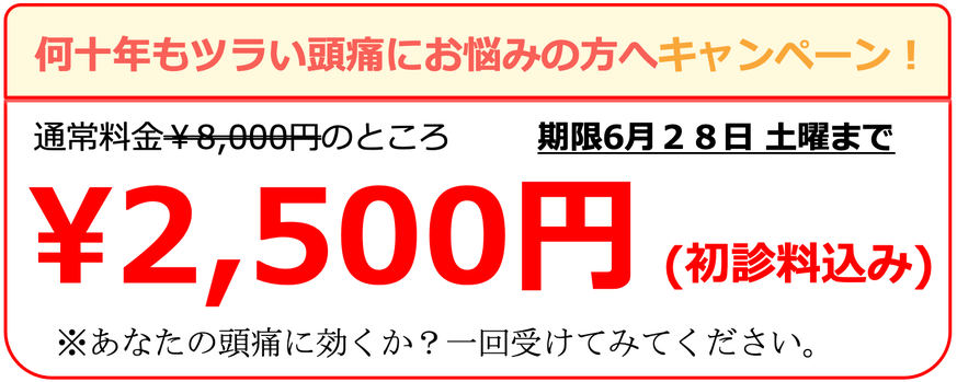 頭痛外来でも治らない偏頭痛を治そう。女性と子どもの偏頭痛専門なでしこで頭痛整体の日だまりショットを受けてみよう。