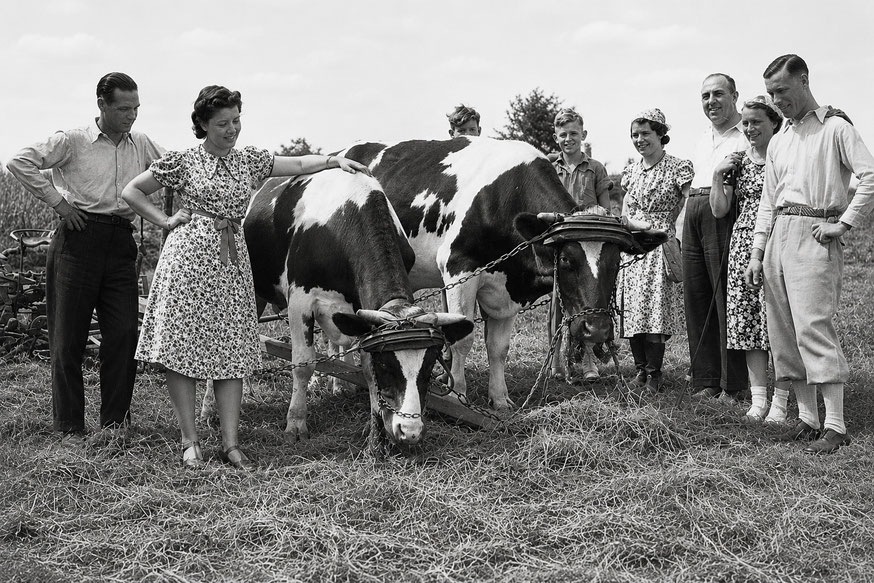 Wendershagen stark landwirtschaftlich geprägt