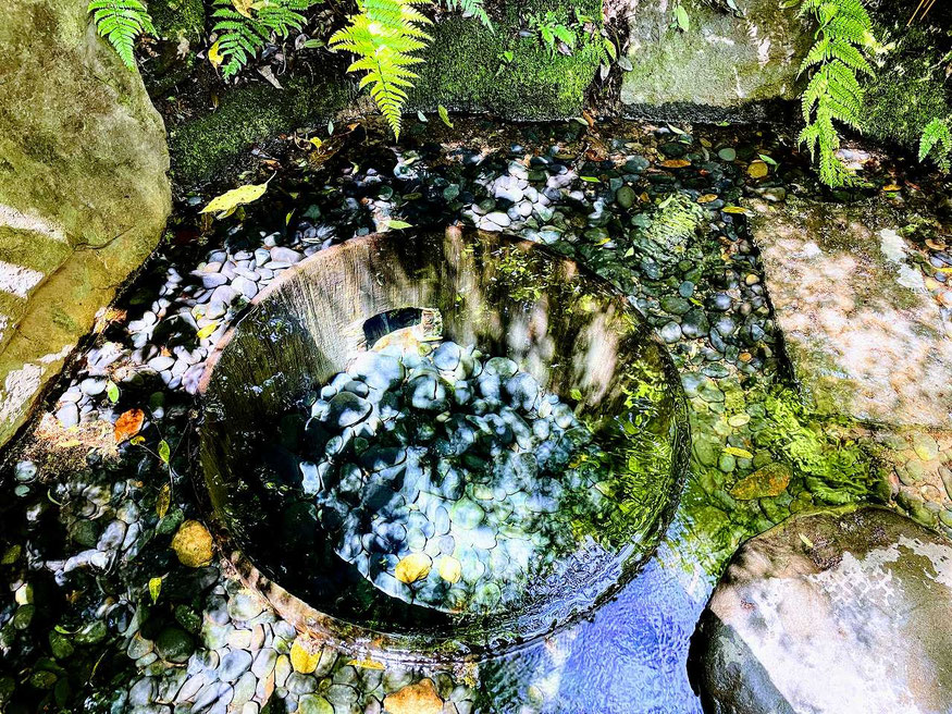 目黒蓮さんの性格・運気・運勢とは？