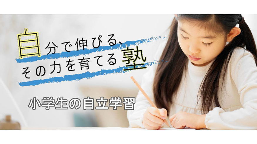 勉強している小学生の画像