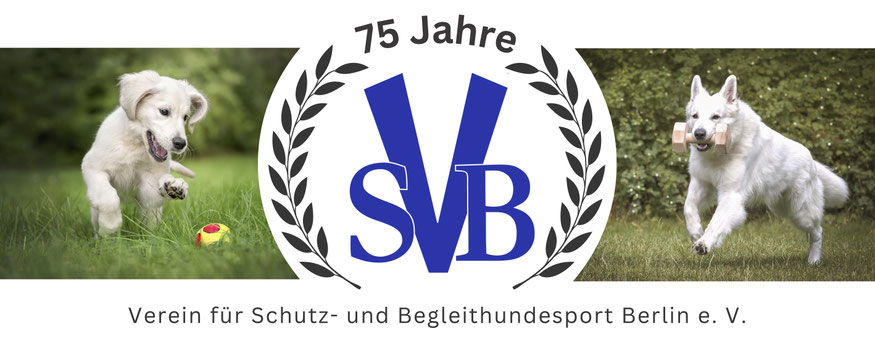 Hundesport, Junghundkurse, Gästetraining - VSB Berlin