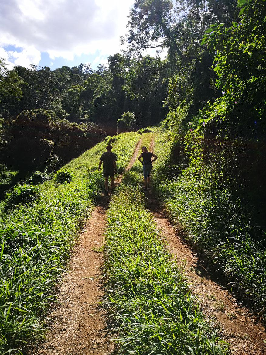 Sunshine Coast Hinterland