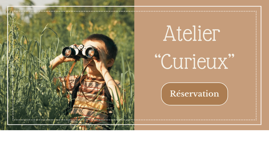lutins curieux, atelier nature, enfants, pays bigouden, nature, pédagogie, CPN, penmarc'h, finistère