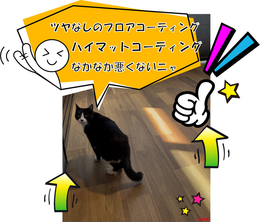 猫のためのフロアコーティング
