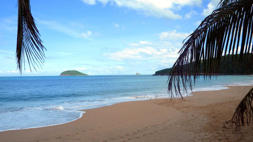 Plage De La Perle auf Basse Terre