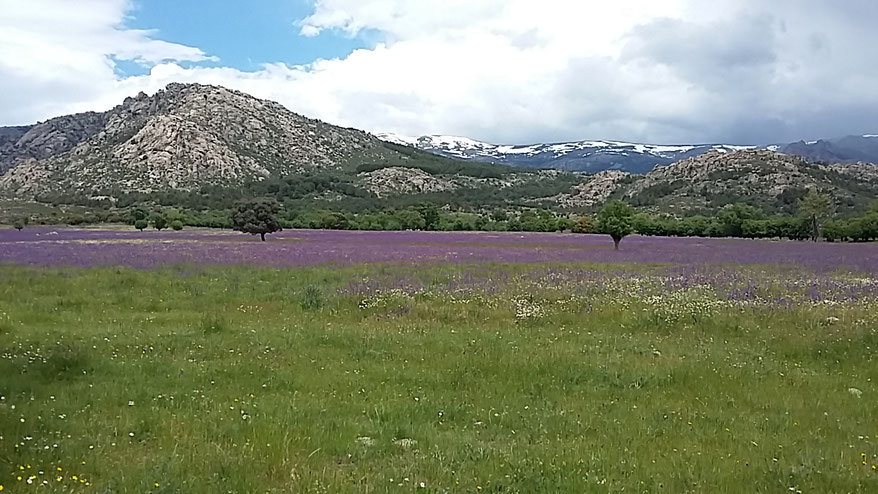 Sierra de los Porrones