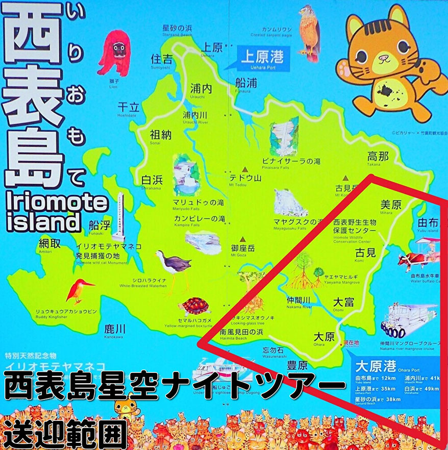 西表島星空ナイトツアーの送迎範囲