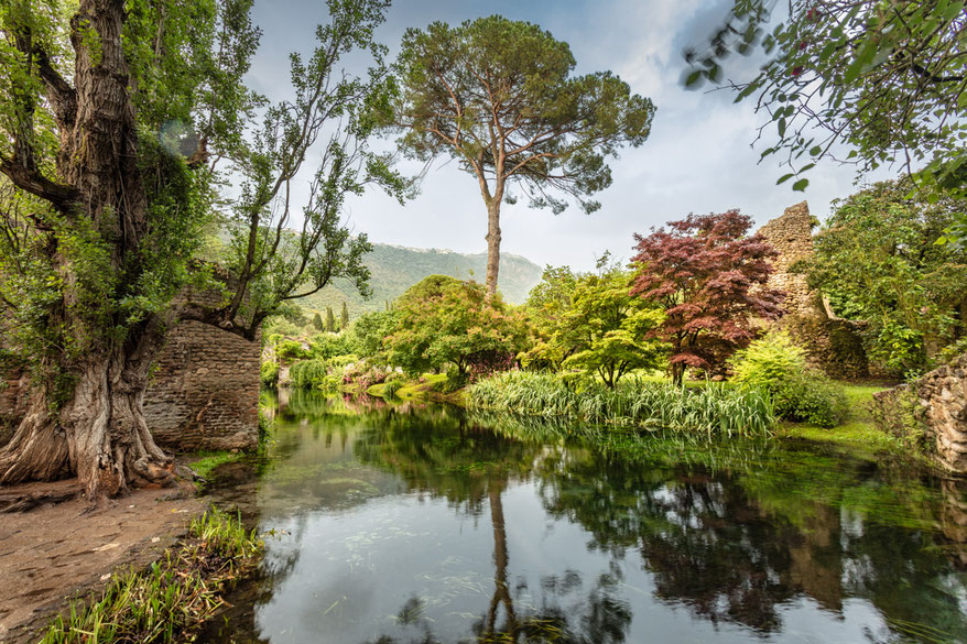 © Marcus Pietrek 2019_Giardino-Ninfa-Italien_190527_5640.jpg