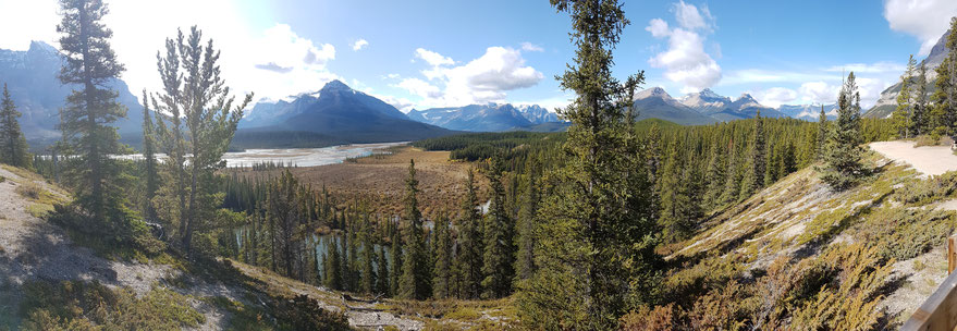 Howse Pass Viewpoint, Icefields Parkway, Banff Nationalpark, Alberta, Kanada