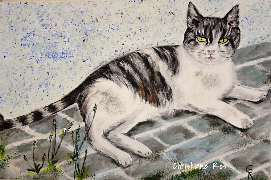 gemaltes Bild Katze © Christiane Ros