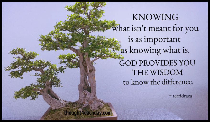 Knowing what isn't meant for you is as important as knowing what is.  ~terridraca