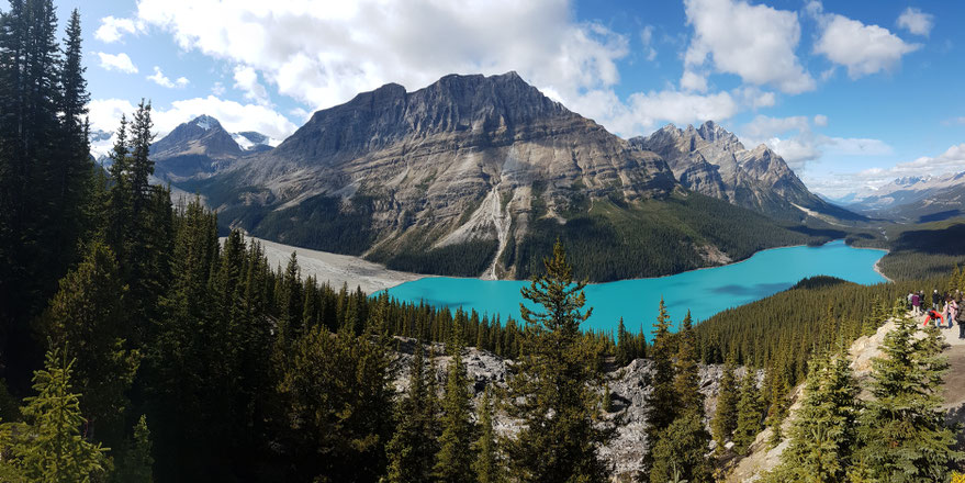 Lake Peyto, Icefields Parkway, Banff Nationalpark, Alberta, Kanada