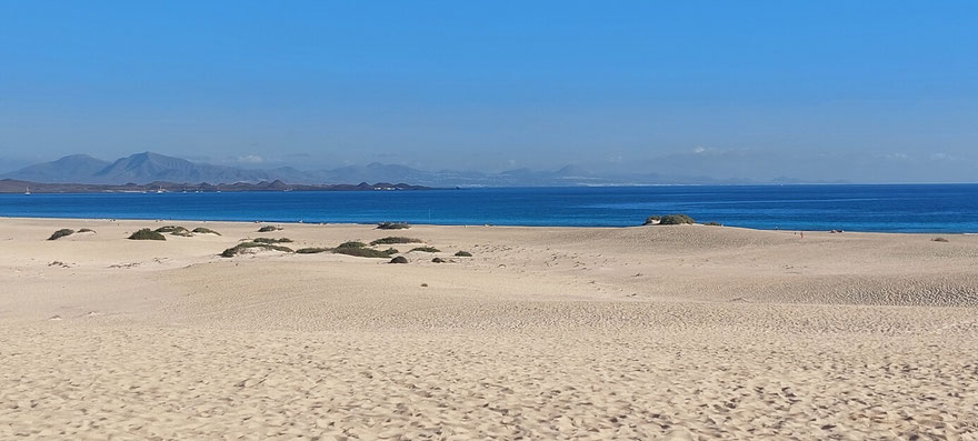 Sanddünen von Corralejo im Norden der Insel Fuerteventura