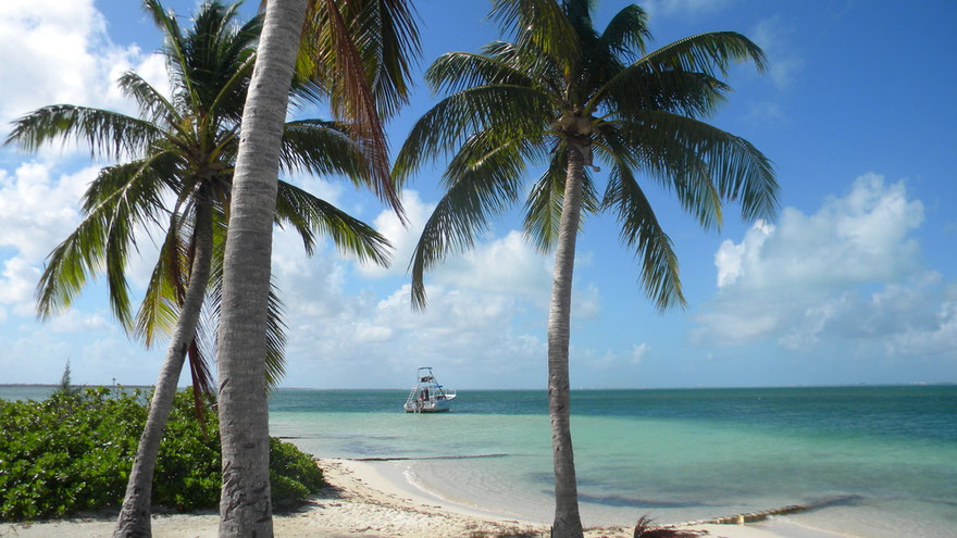 Starfish Point