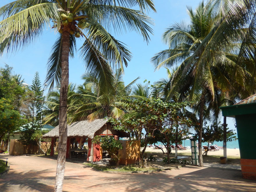 Beach with Palm Trees