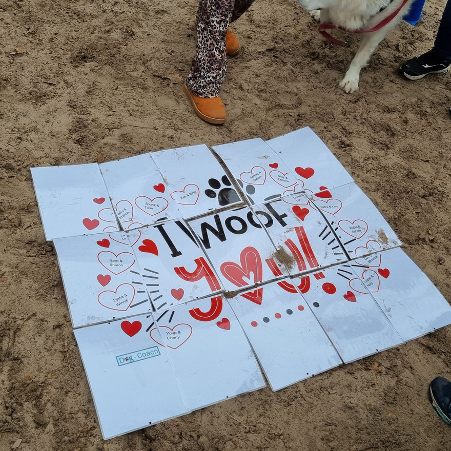 Hond valentijn activiteit