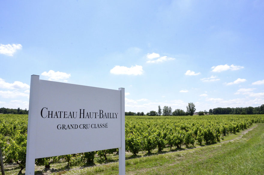 Chateau Haut-Bailly