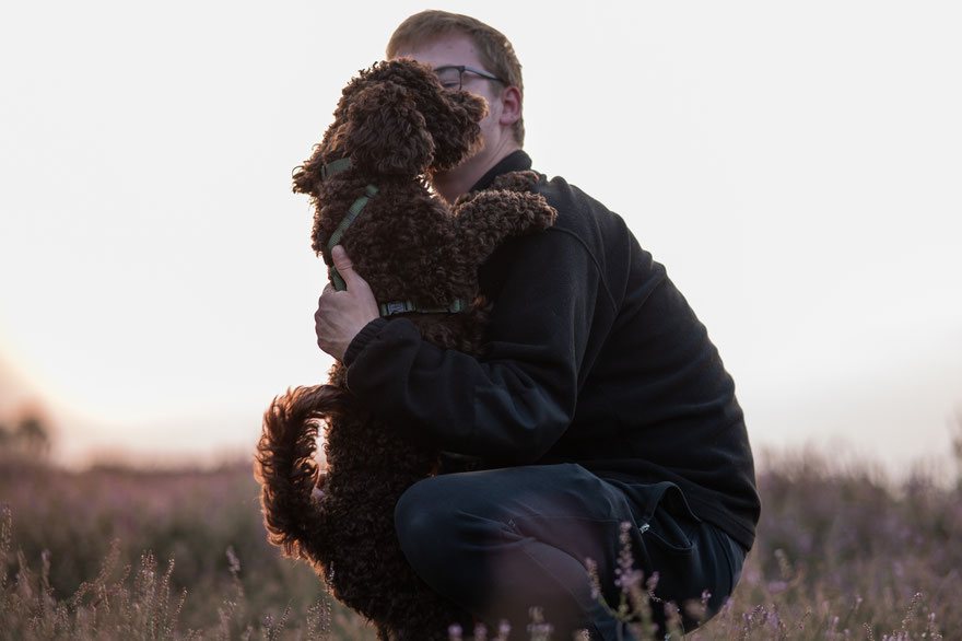 wurmigefotos - Rabea Jochheim - Hundefotografie - Heideshooting - Tom und Kuddel