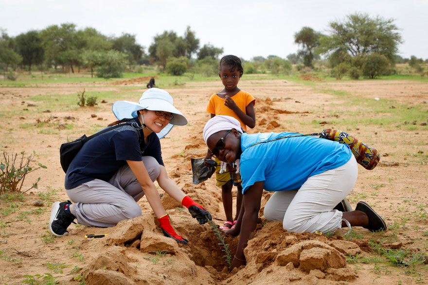 planting together senegal