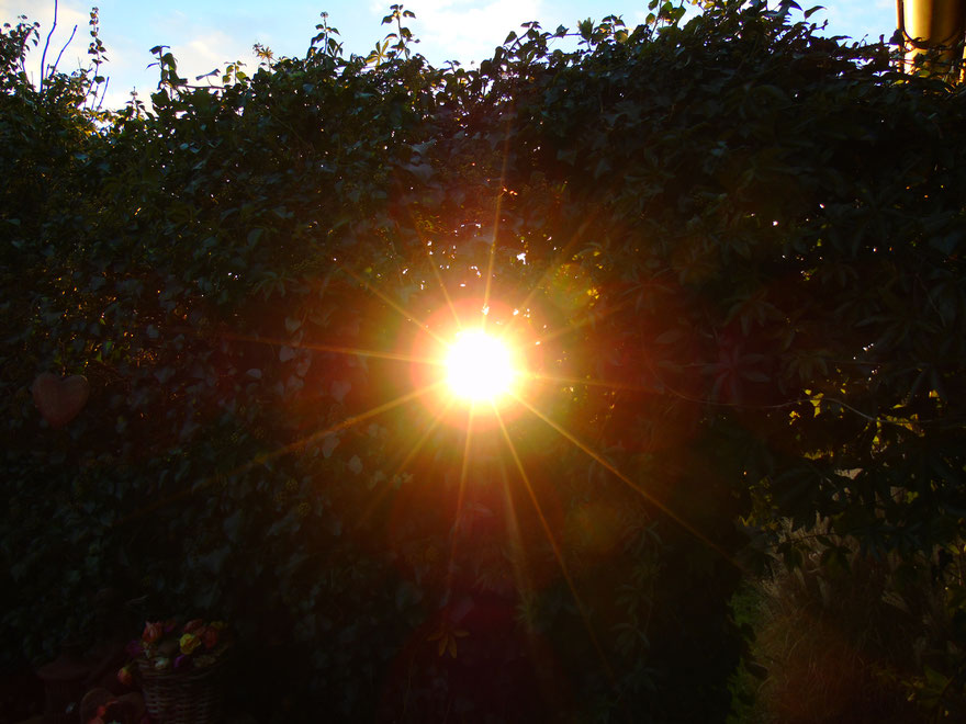 Du bist ein Sternenwesen☼☼☼ ☼☼☼ ☼☼☼