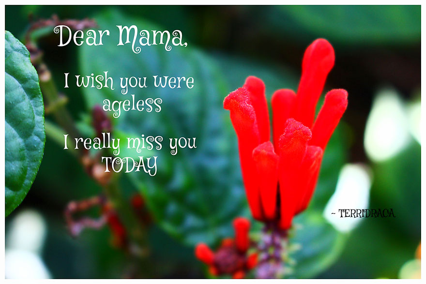 Wish you were ageless.  ~ terridraca
