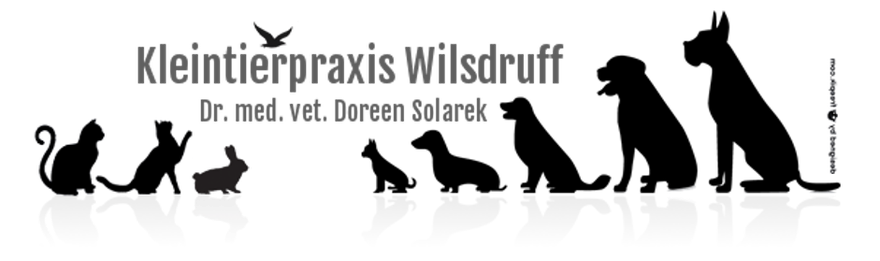 Kleintierpraxis Wilsdruff - Dr. med. vet. Doreen Solarek