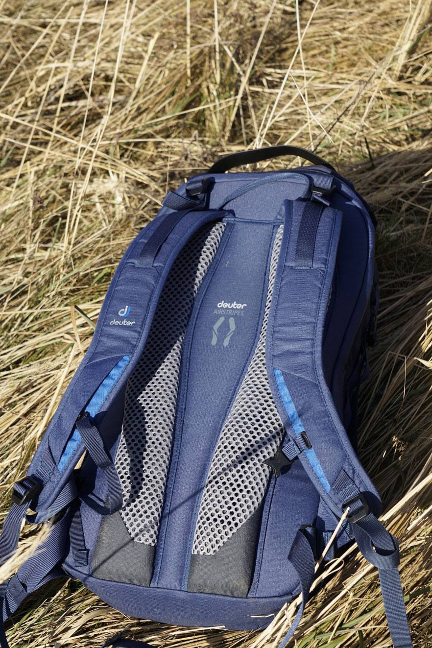 Testbericht Deuter XV3 Rucksack BergHundTal Mit Hund Sam durch