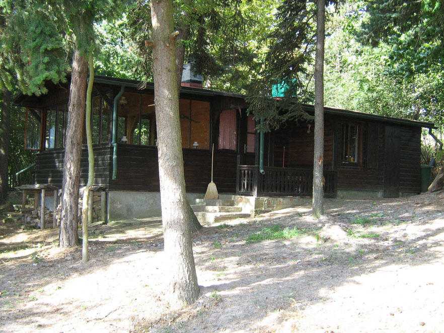 Ferienhaus, eingezäuntes Waldgrundstück im Harz, mit Hund