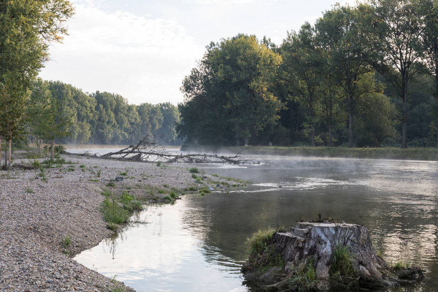Isar-Altwasser, © Marcus Bosch