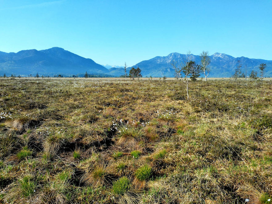 LKM Kerngebiet, © Philipp Neumann