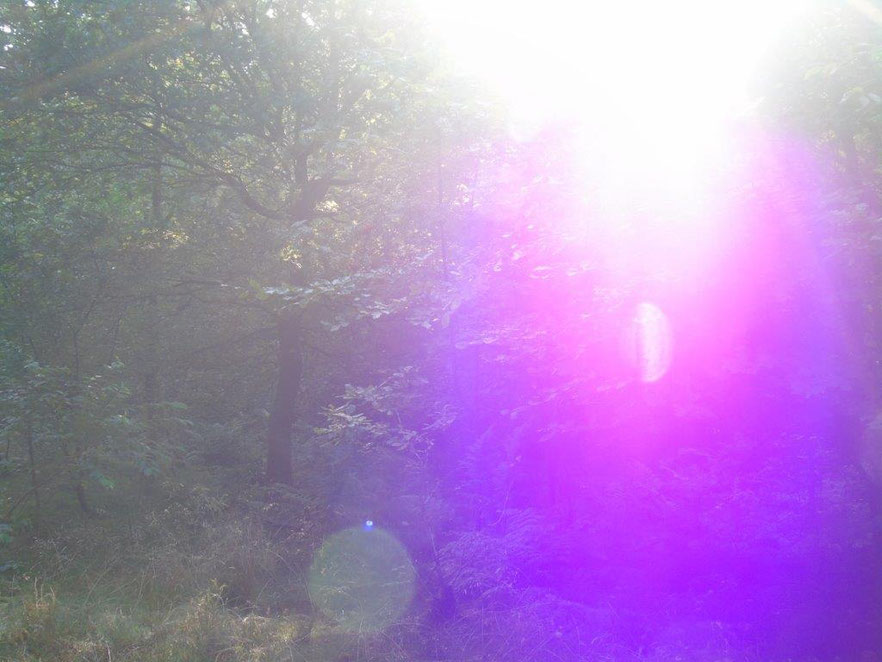 Die Violette Flamme der Transformation, zur Reinigung und Auflösung emotionaler Altlasten, Quelle: www.lichtwesenfotografie.com