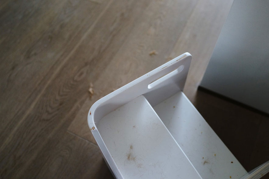 Unser Wochenende in Bildern: 20. November