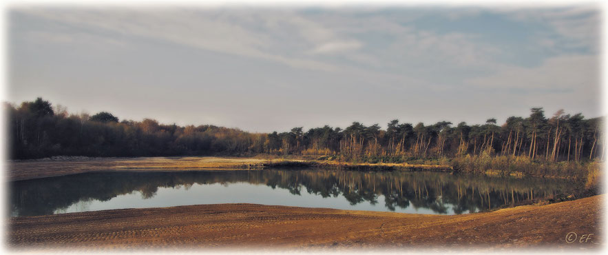 Baggersee-Landschaft