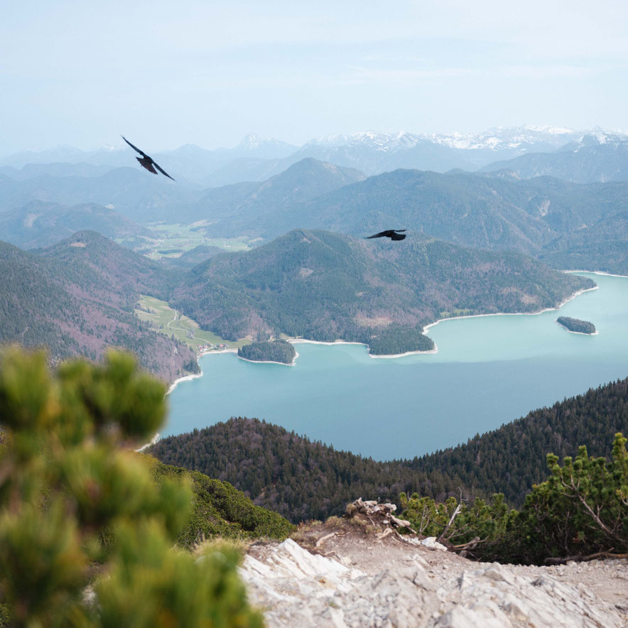 HERZOGSTAND • einfache Wanderung auf den beliebten Aussichtsberg am Walchensee in Bayern  ©Marika Unterladstätter