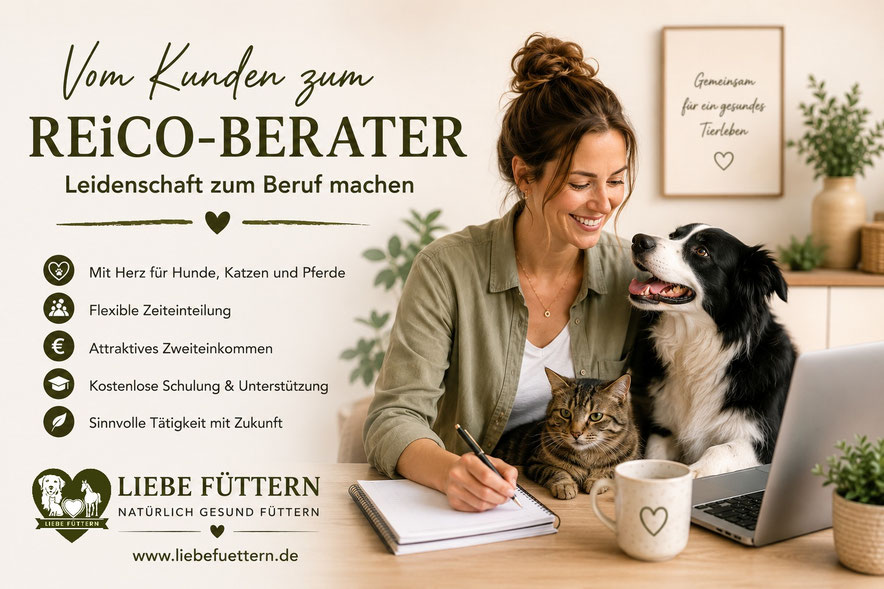 Vom Kunden zum REiCO Berater – Leidenschaft zum Beruf machen