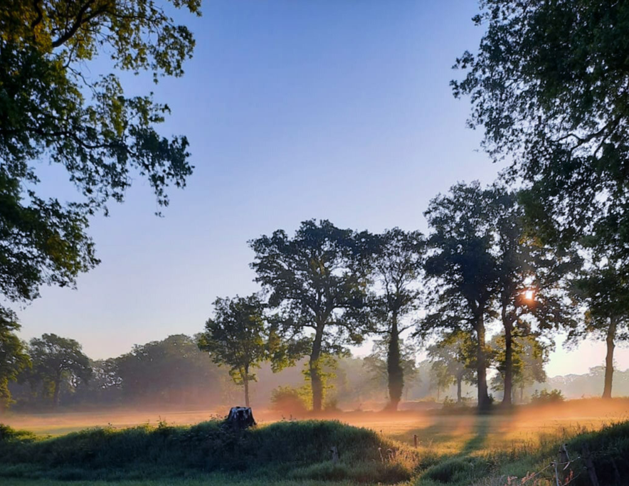 Omgeving van de Siriushoeve