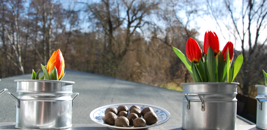 Seedballs zum Trocknen in der Sonne auf der Fensterbank.