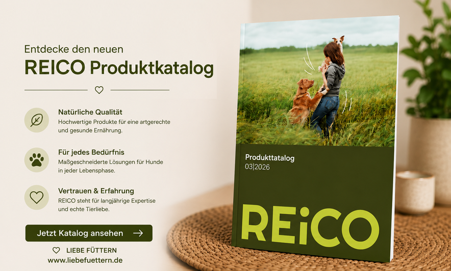 REiCO Produkthandbuch - REiCO Katalog