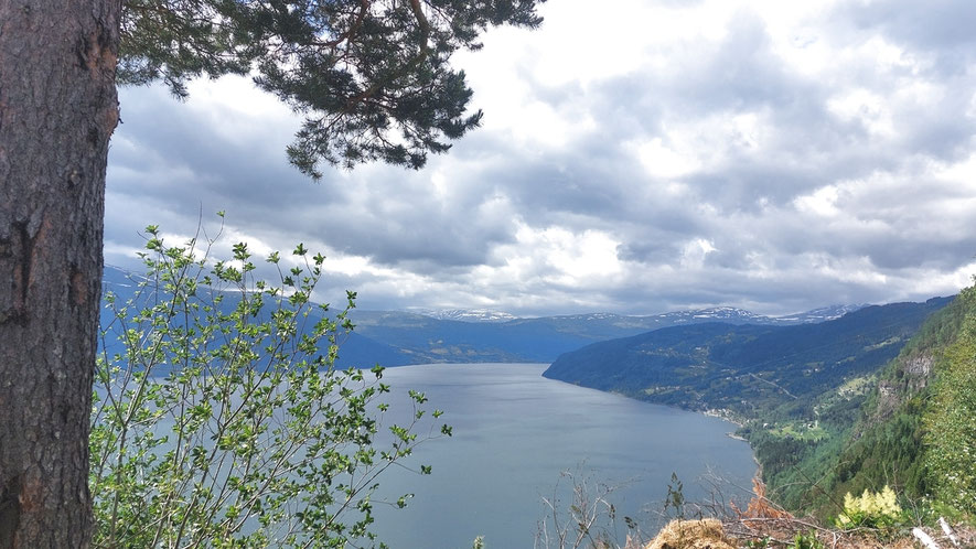 Nordfjord