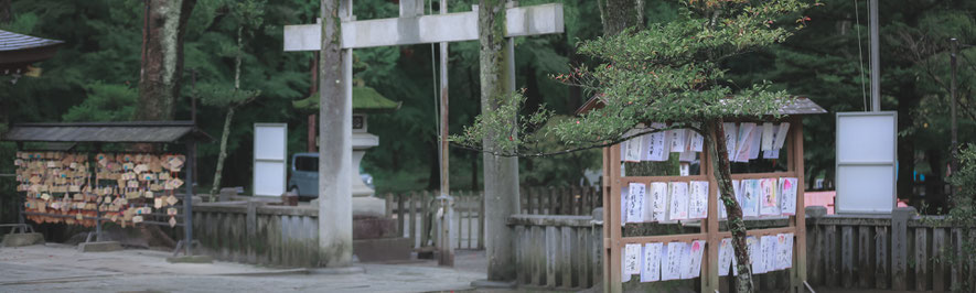 武田神社お宮参り