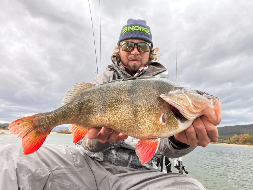 what a nice way to end the day with this 49cm perch after catching my new PB in the morning!