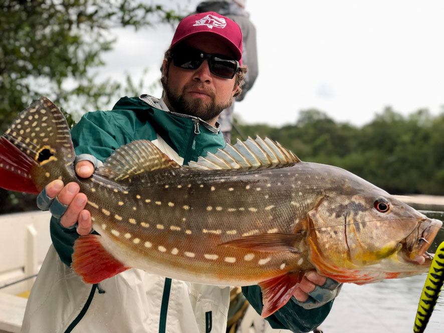 smaller but fun-sized Pinta Lapa Peacock on the Chopper - picture by our guide who assured me that the fish is completely in the frame for sure^^