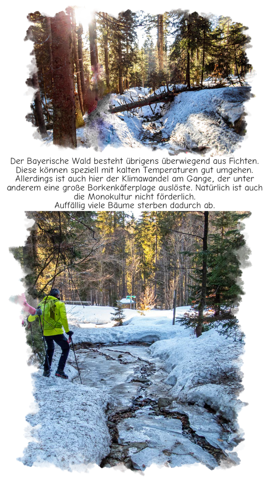 Eisiger Abstieg mit Grödeln auf den Großen Arber